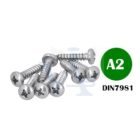 Lemezcsavar-A2-ÖNMETSZŐ-DF 3,9x 22,0 DIN7981  - D-fejű INOX ROZSDAMENTES