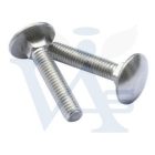 Csavar kapupánt DIN603 4.8 Tövigmenet M  5x  16  - HORGANYZOTT