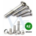 Csavar kapupánt-A2 DIN603 M  6x  80  - INOX ROZSDAMENTES